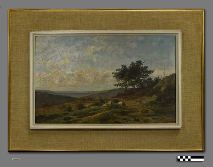 Landschap met 2 bomen naast aarden weg