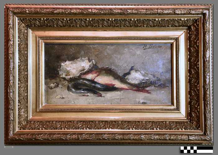 Stilleven van zeevis