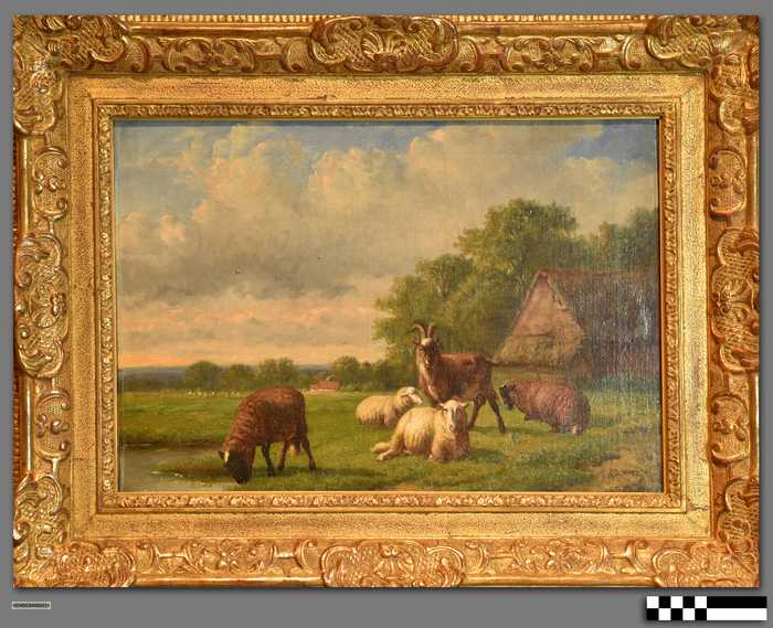 Landschap met schapen