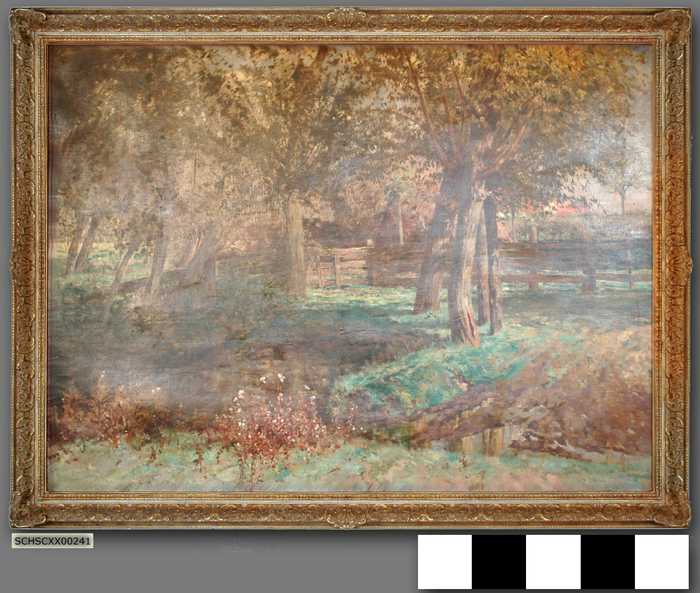 Drassige weiden met knotwilgen