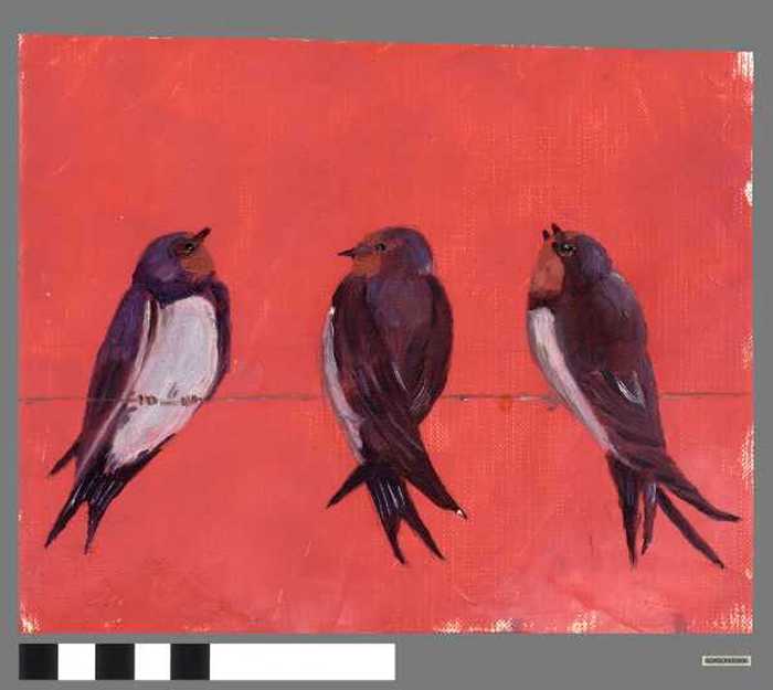 Vogels op koord.