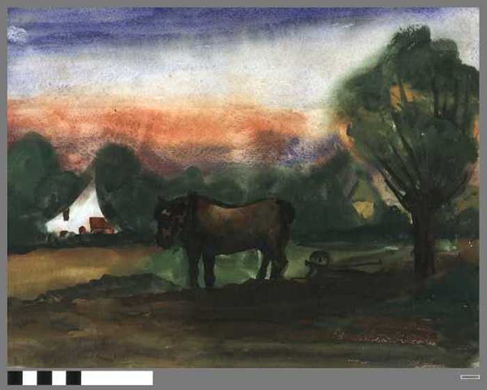 Paard bij Knokse hoeve