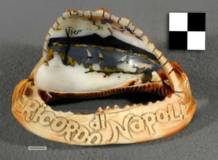 Kaurischelp met opschirft: Ricordo di Napoli