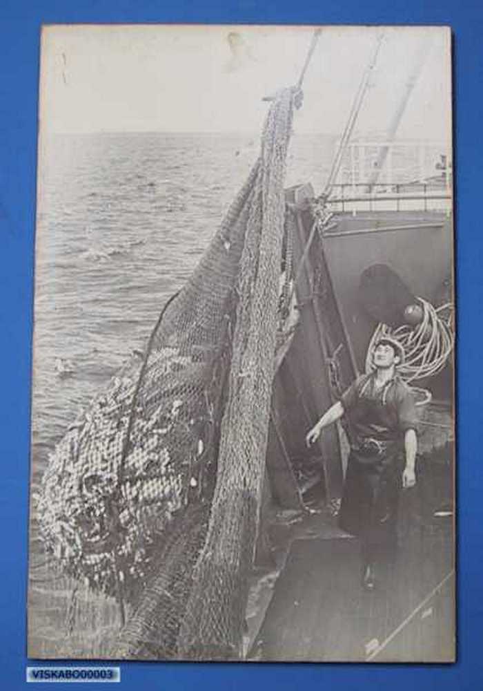 Ophalen van het visnet