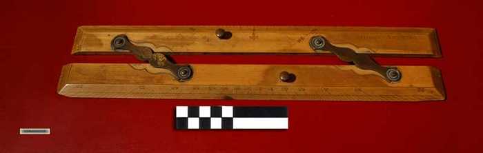 Parallelliniaal of pleischaal