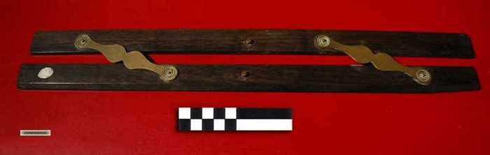 Parallelliniaal of pleischaal