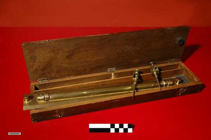 Parallelliniaal of pleischaal