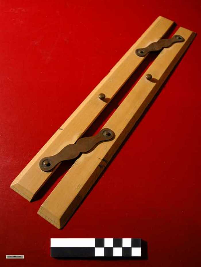 Parallelliniaal of pleischaal