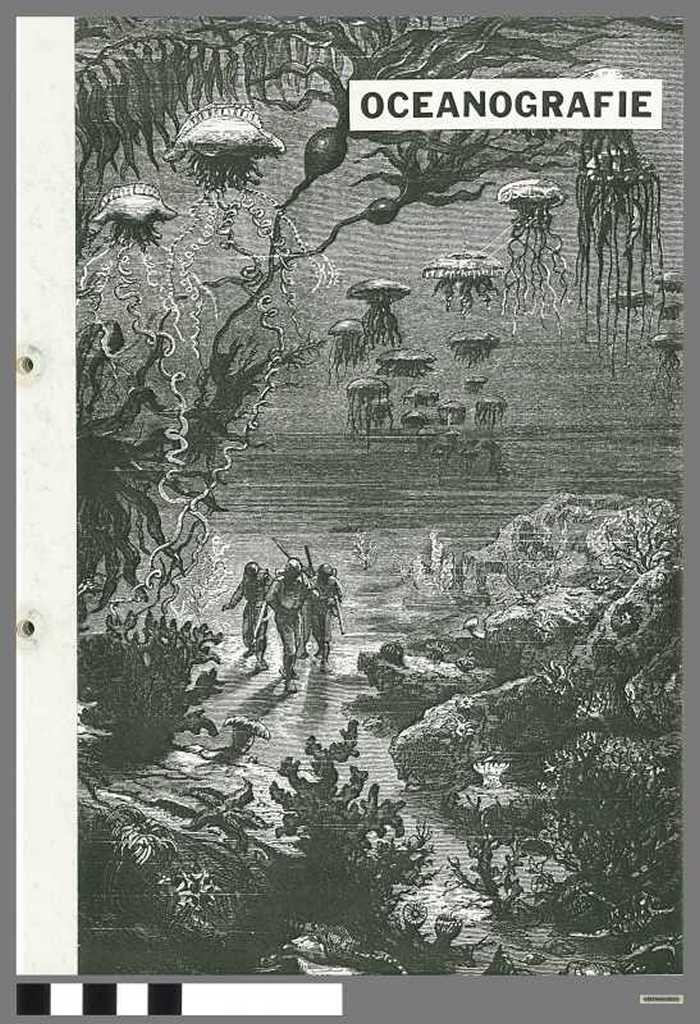 Oceanografie - Vierde jaar lager-secondair-technisch-visserij-onderwijs