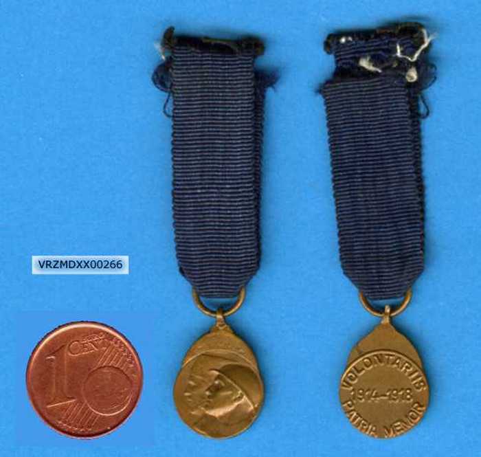 Medaille van de Vrijwillige Strijder 1914-1918