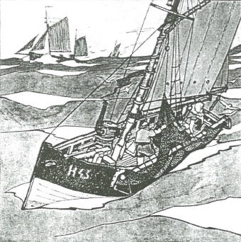 tekening rene de pauw