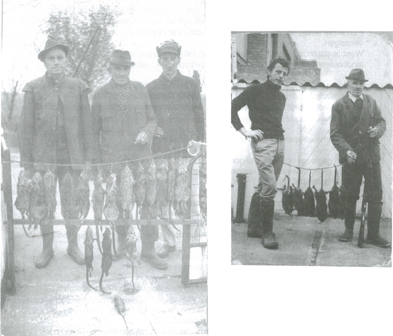 rattenvangers casino en duinbergen