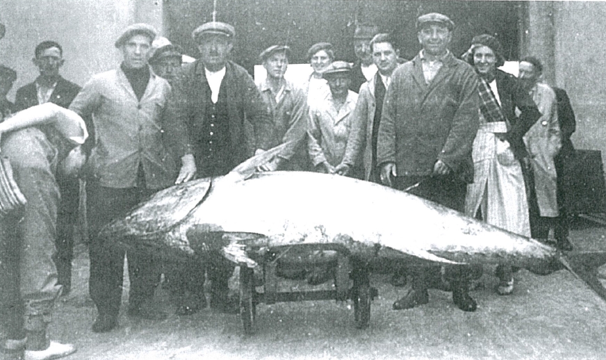 vismijn van zeebrugge met een latour vis