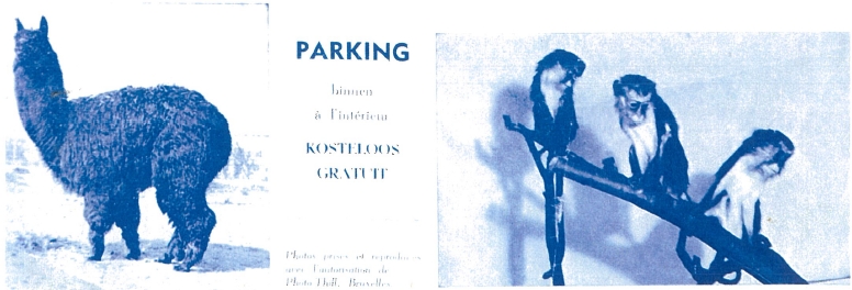 advertentie lac van heist duinbergen 03