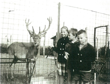 marie antoinette en fabien raes