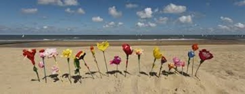 strandbloemen