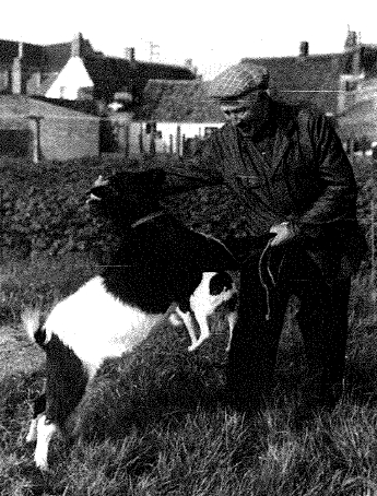 jules zjiel reychler