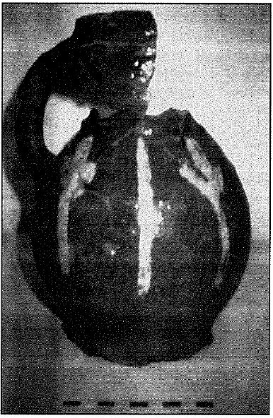 inheemse kan gevonden te hoeke