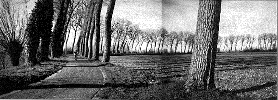 krinkeldijk oostkerke