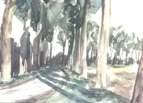 krinkeldijk oostkerke3