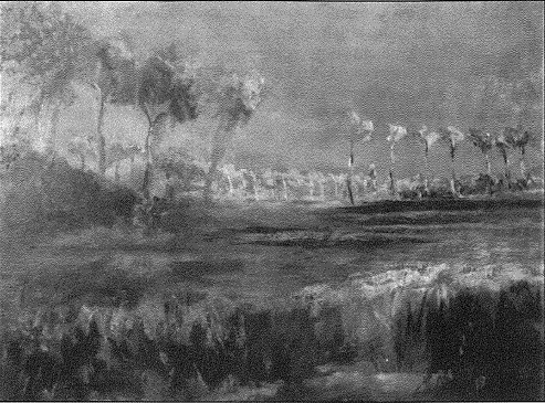 landschap krinkeldijk