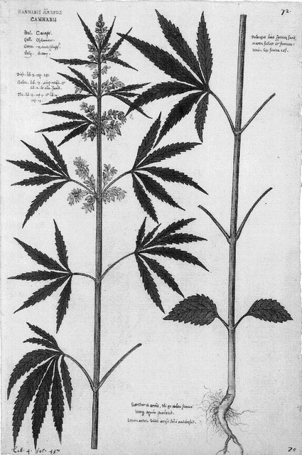 rdp201202p035 082 page48 image1