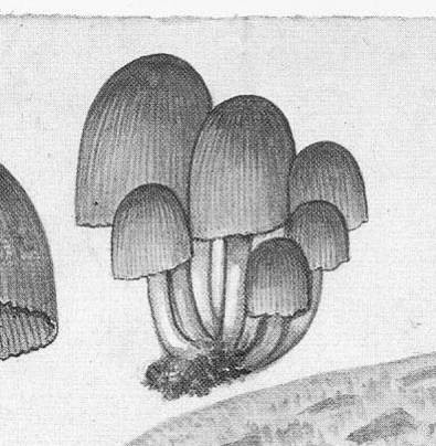 rdp201202p035 082 page48 image10