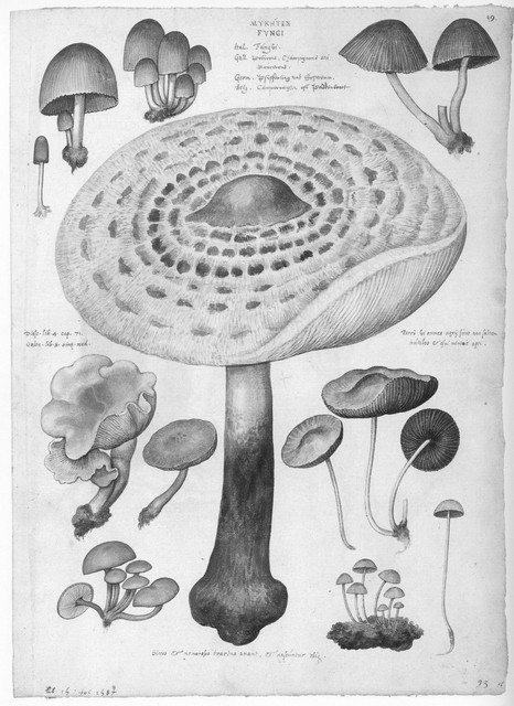 rdp201202p035 082 page48 image14