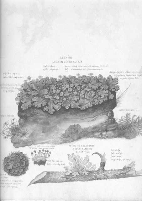 rdp201202p035 082 page48 image15