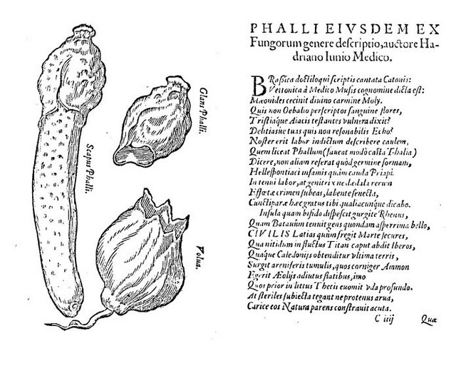 rdp201202p035 082 page48 image21