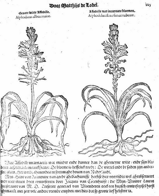 rdp201202p035 082 page48 image23