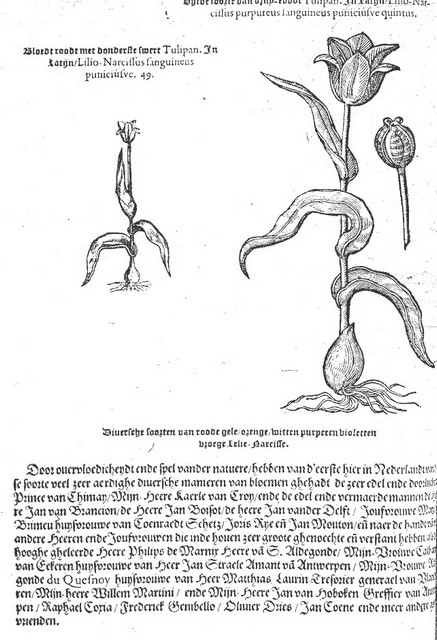 rdp201202p035 082 page48 image25