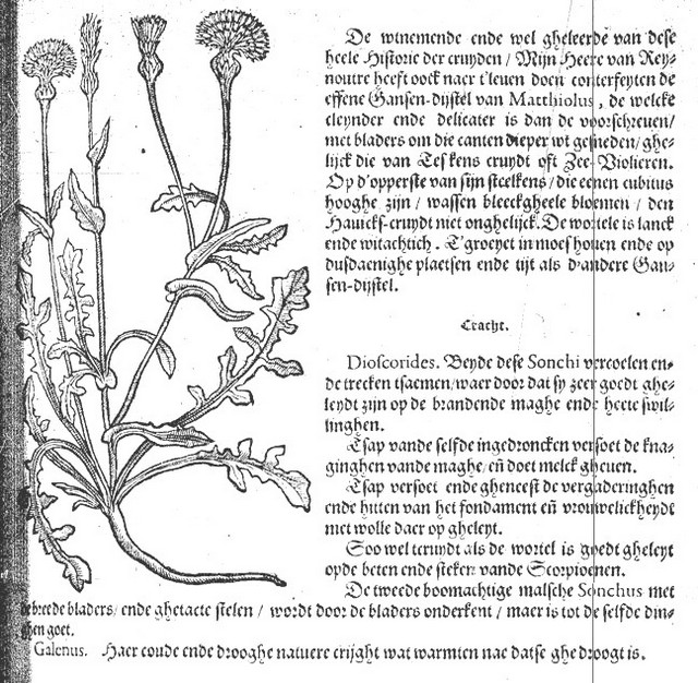 rdp201202p035 082 page48 image26