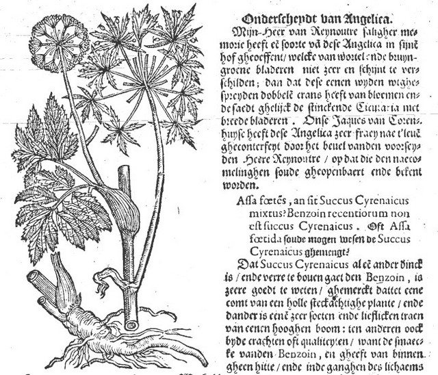 rdp201202p035 082 page48 image28