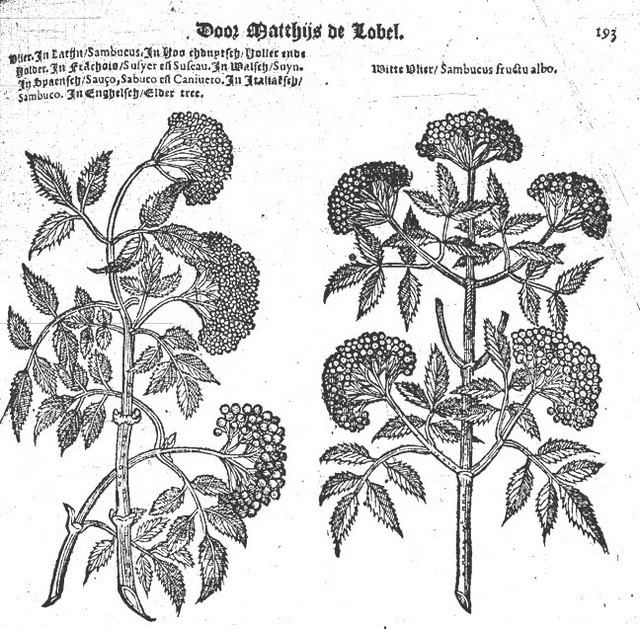 rdp201202p035 082 page48 image32