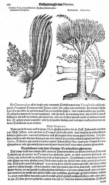 rdp201202p035 082 page48 image33