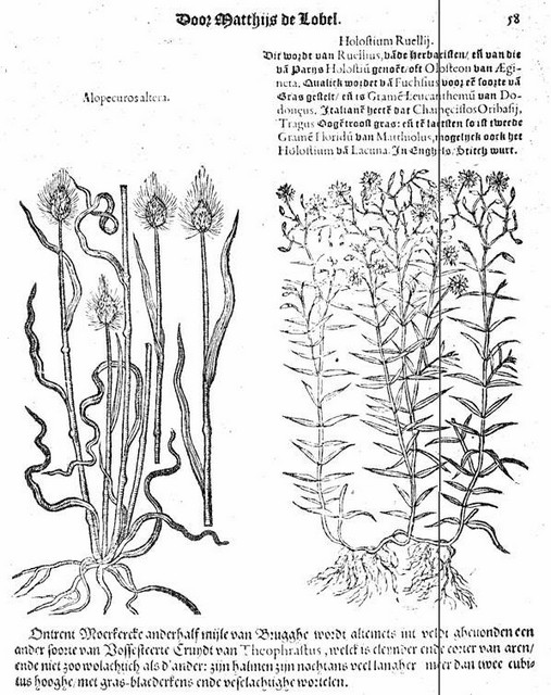 rdp201202p035 082 page48 image37