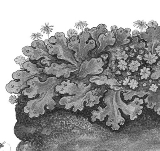 rdp201202p035 082 page48 image8