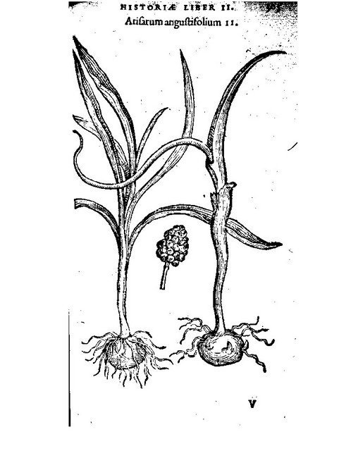 rdp201203p087 112 page26 image1