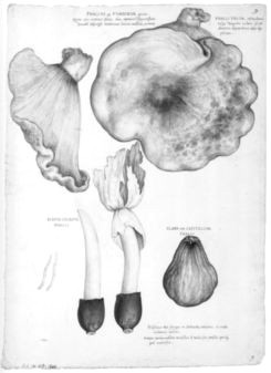 rdp201203p087 112 page26 image10