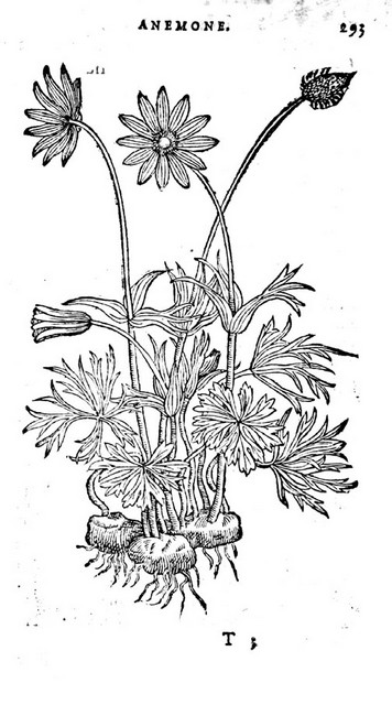 rdp201203p087 112 page26 image2