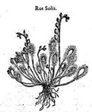 rdp201203p087 112 page26 image3