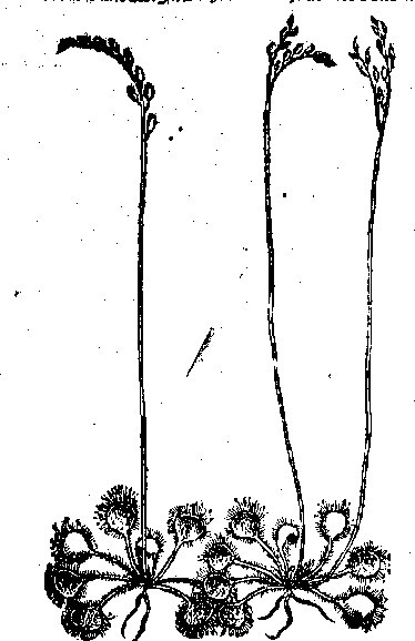 rdp201203p087 112 page26 image4