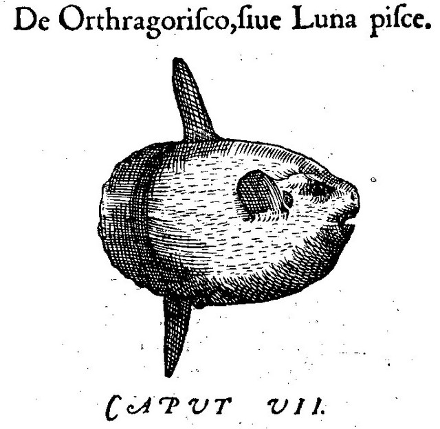 rdp201203p087 112 page26 image6