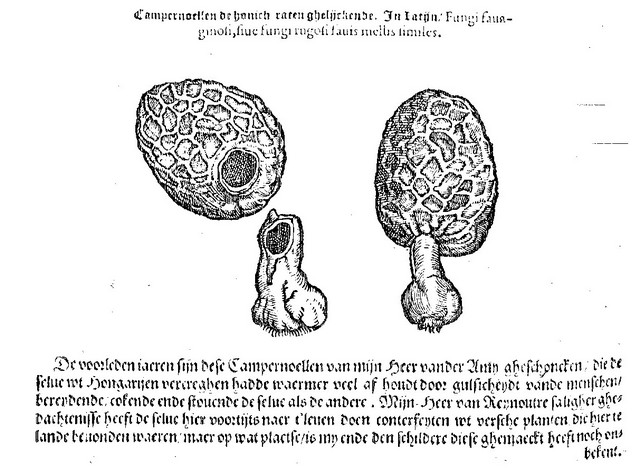rdp201203p087 112 page26 image7