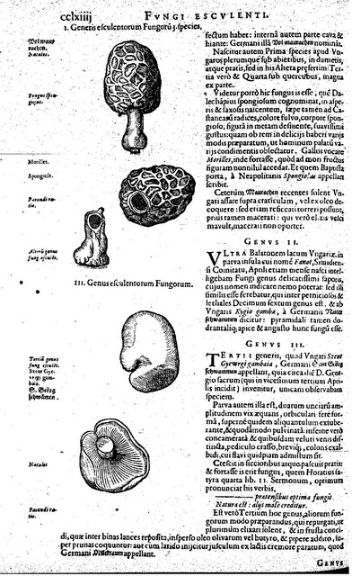 rdp201203p087 112 page26 image8