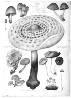 rdp201203p087 112 page26 image9