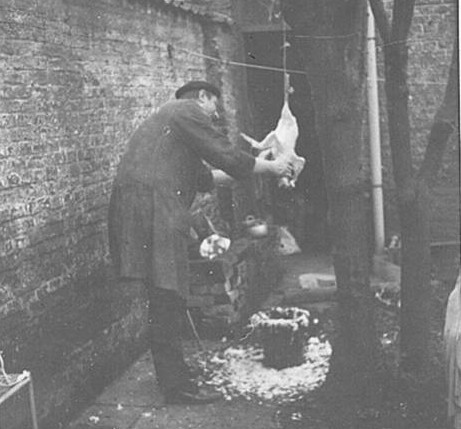 rdp201301p003 036 page34 image8