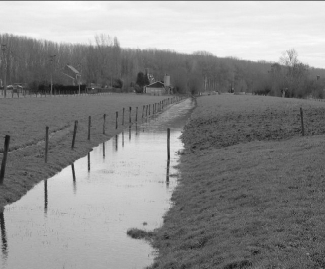 rdp201402p035 067 page33 image19