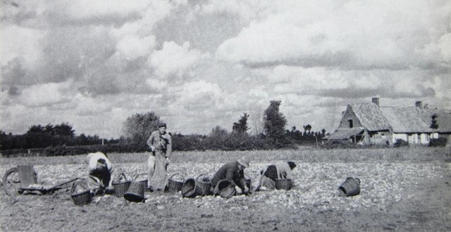 rdp201403p071 091 page21 image6